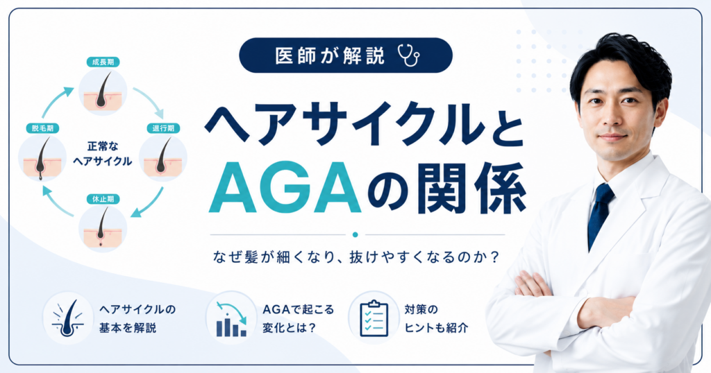 ヘアサイクルとAGAの関係