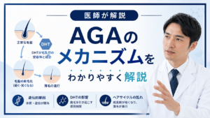 AGAのメカニズムと薄毛が進行する仕組み