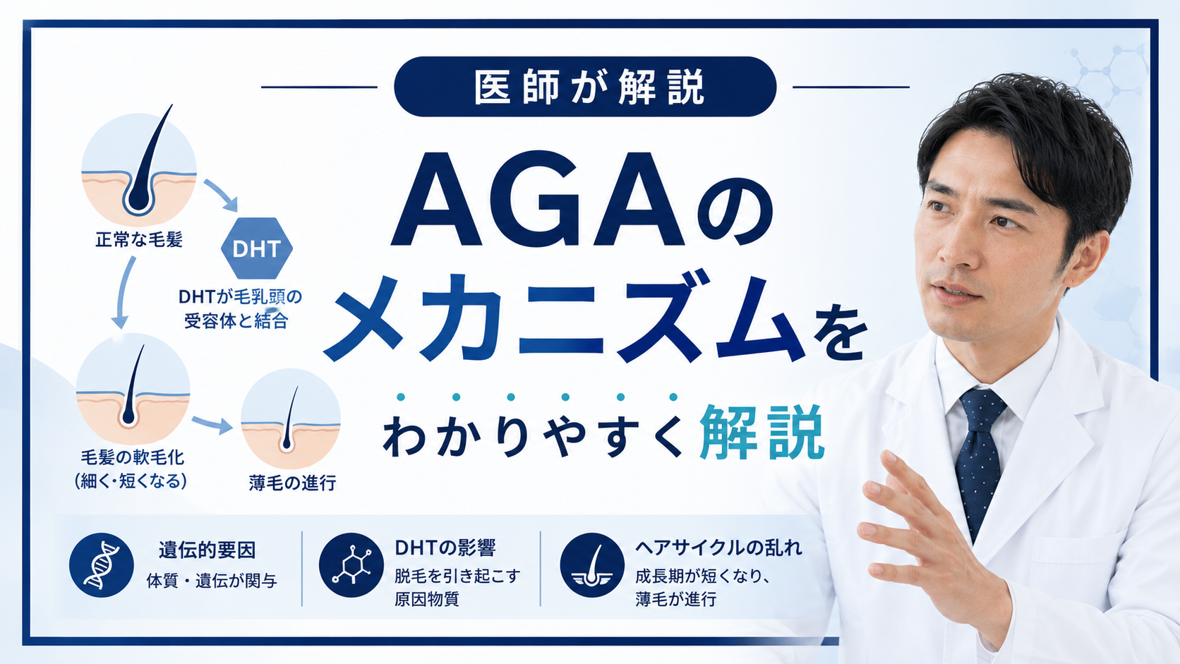 AGAのメカニズムと薄毛が進行する仕組み