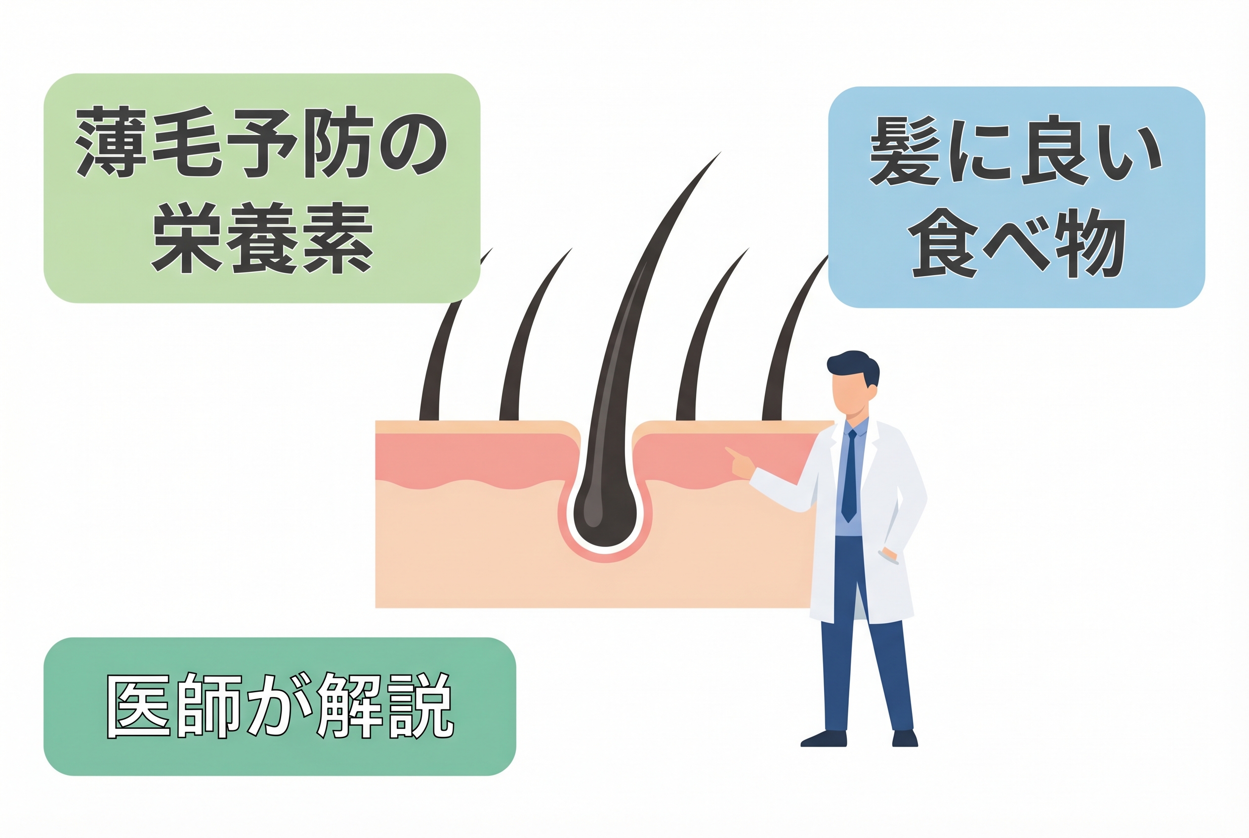 髪に良い食べ物と栄養素