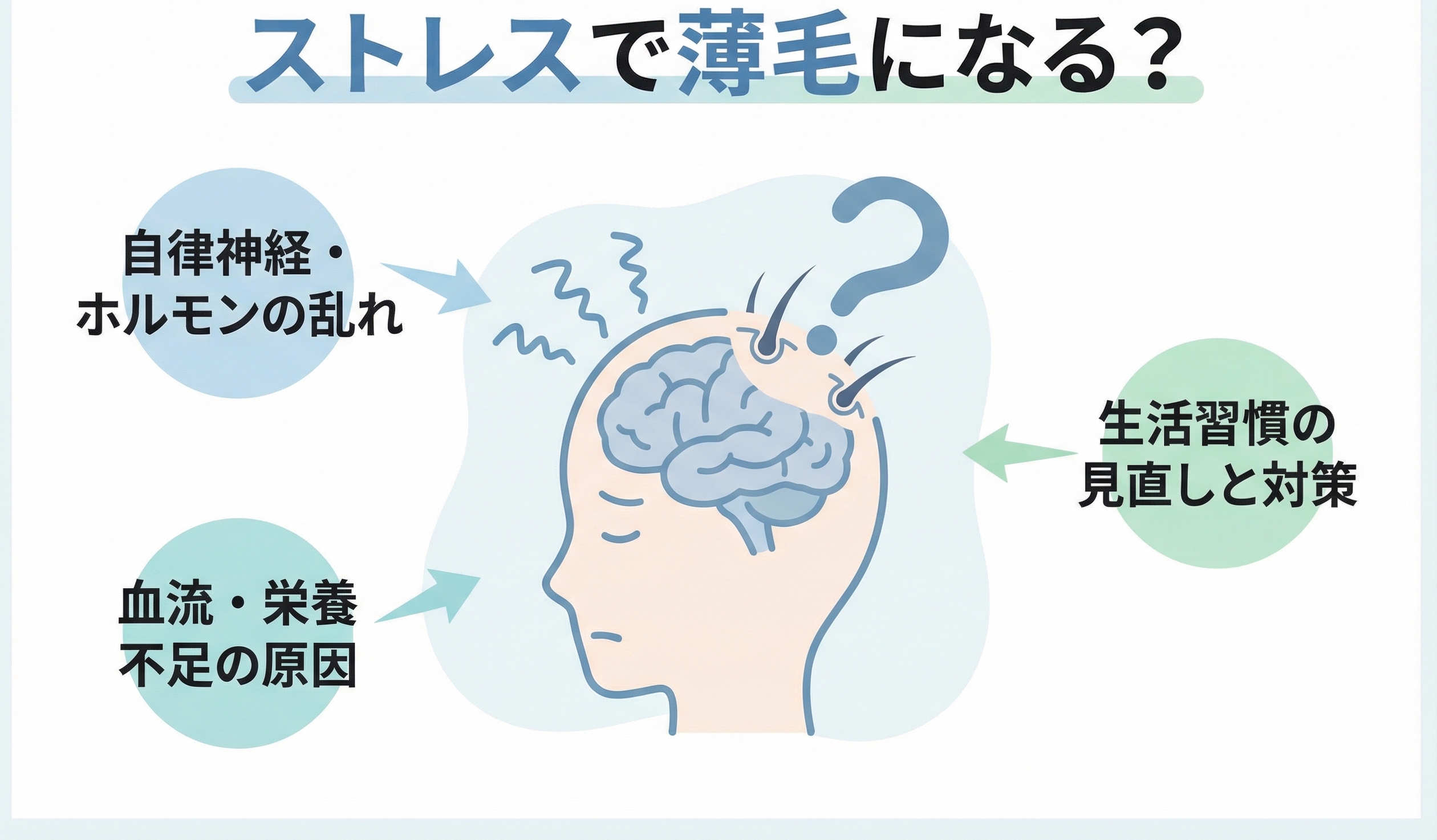 ストレスによる薄毛・抜け毛のイメージ